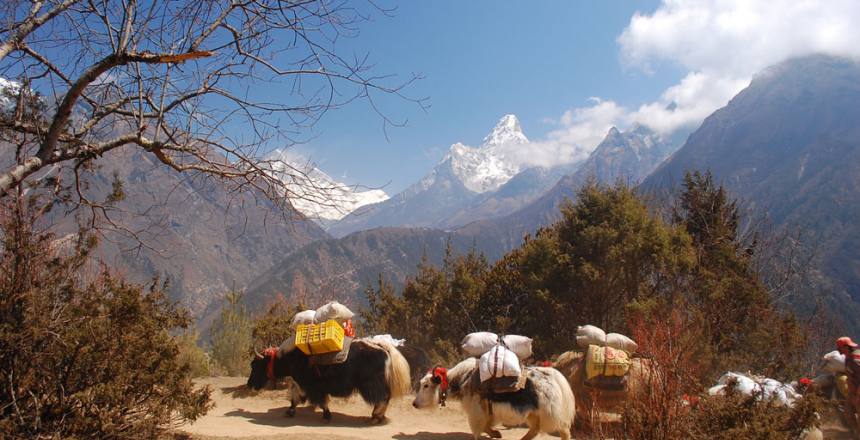 Everest Base Camp Trekking