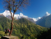 Annapurna 