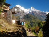 Annapurna base camp 